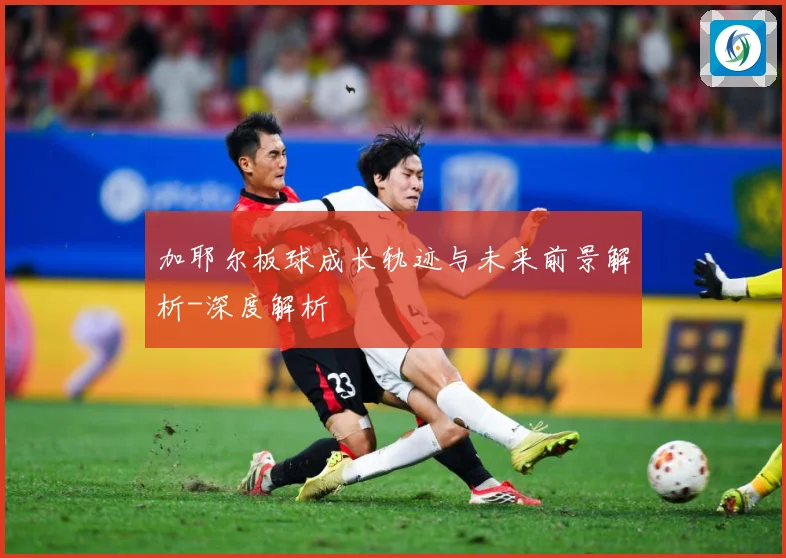 加耶尔板球成长轨迹与未来前景解析-深度解析