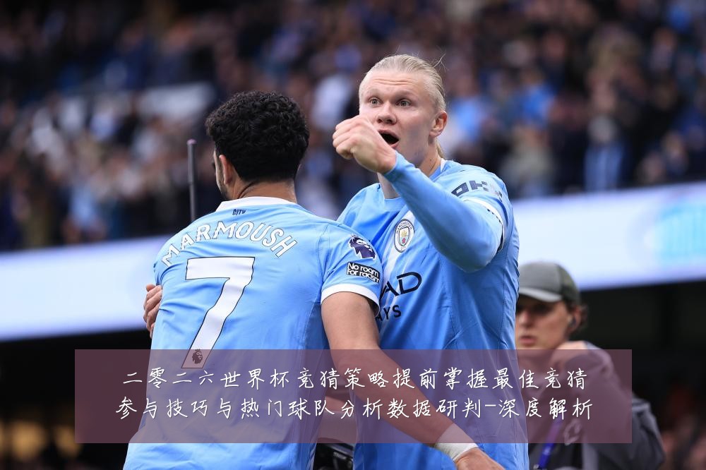 二零二六世界杯竞猜策略提前掌握最佳竞猜参与技巧与热门球队分析数据研判-深度解析