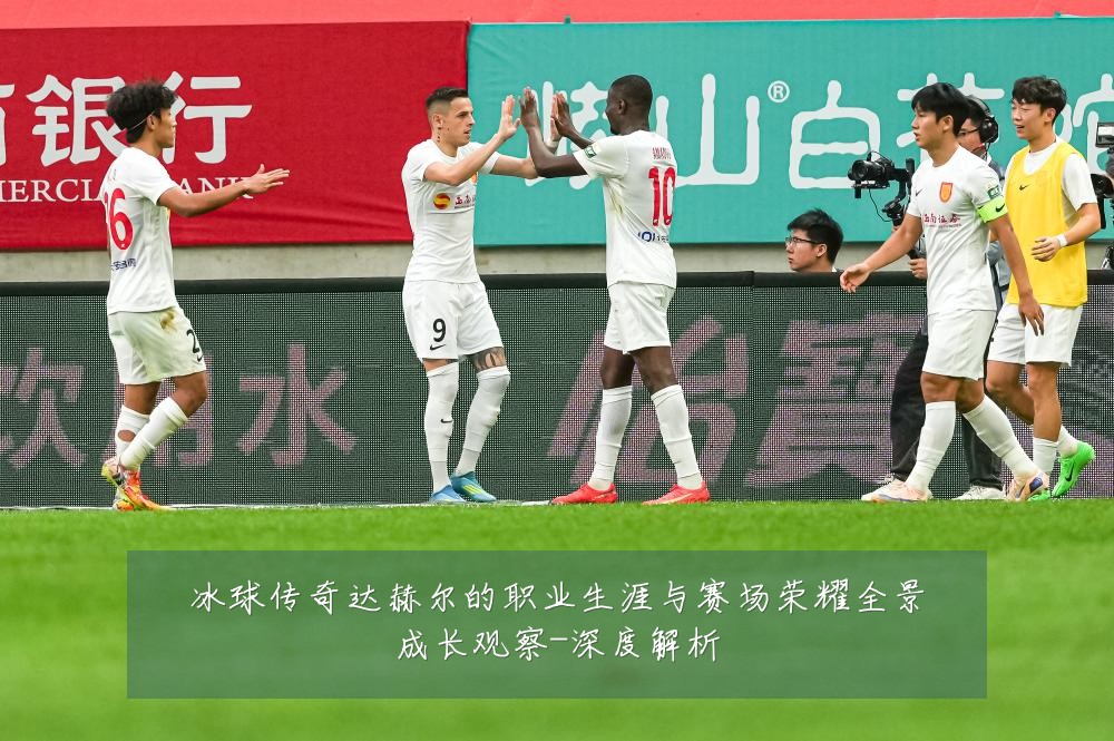 冰球传奇达赫尔的职业生涯与赛场荣耀全景成长观察-深度解析