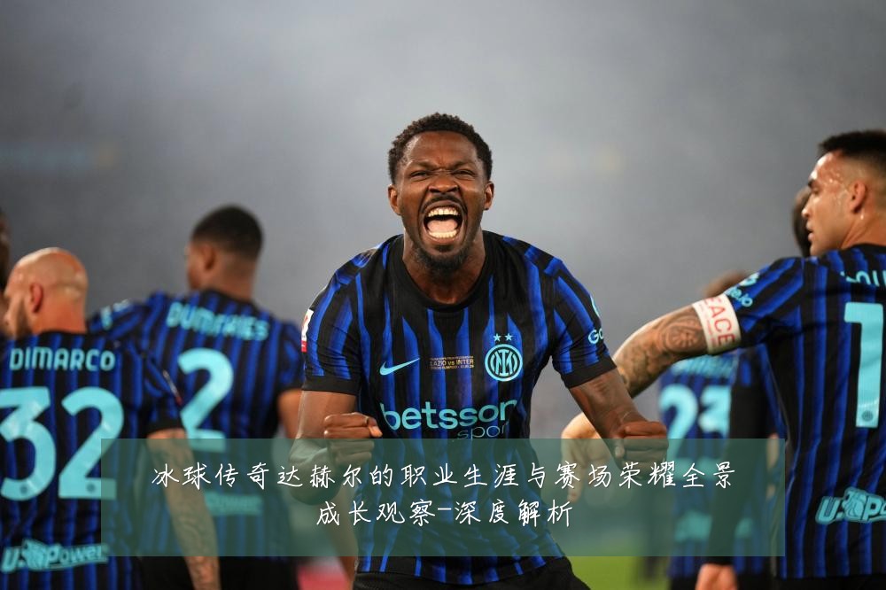 冰球传奇达赫尔的职业生涯与赛场荣耀全景成长观察-深度解析