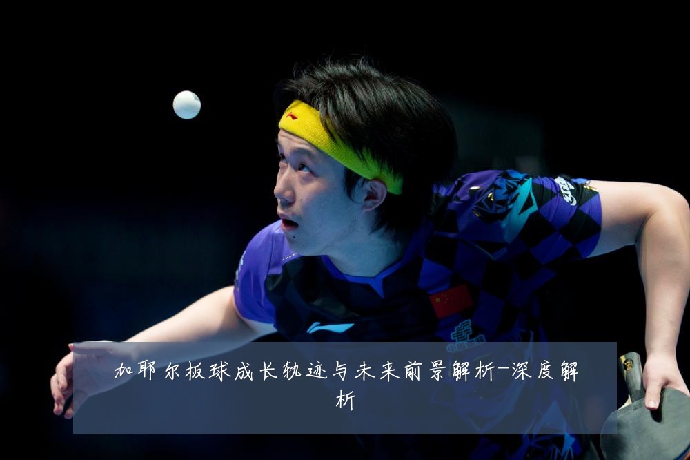 加耶尔板球成长轨迹与未来前景解析-深度解析